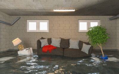 Staying Calm After a Basement Flood