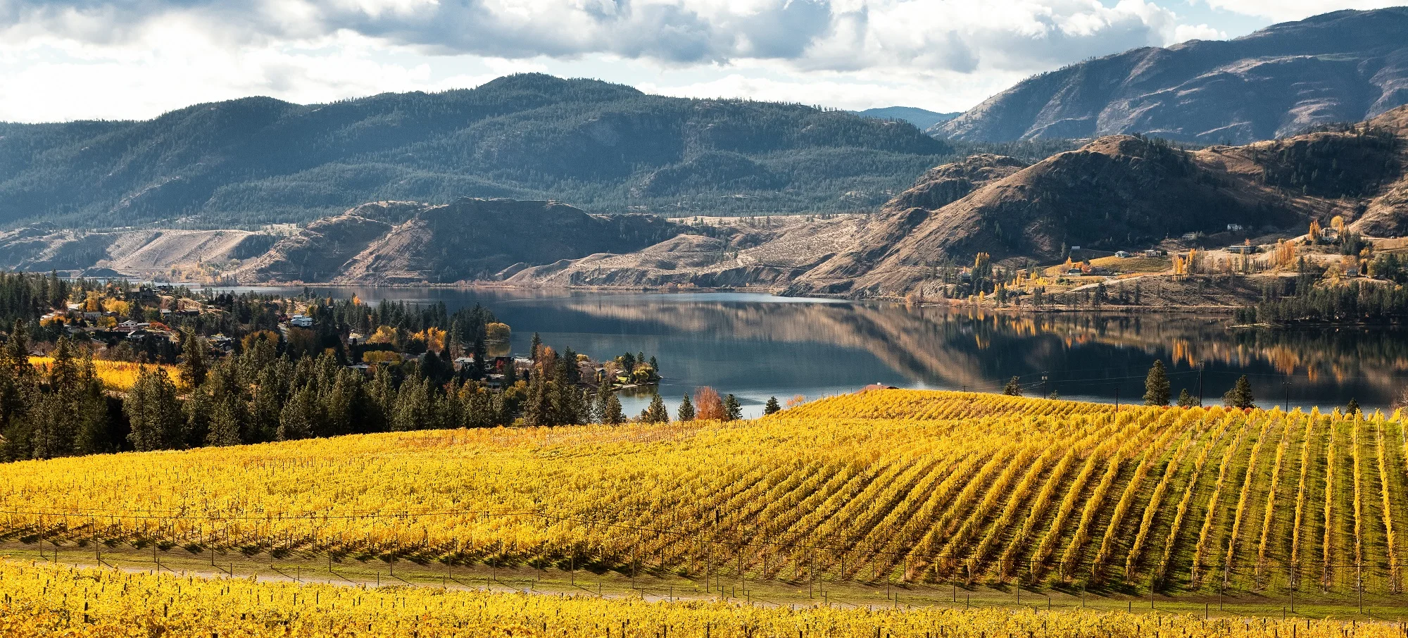 Thompson-Okanagan