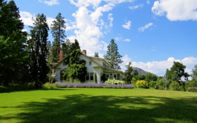 Summer Heat Home Maintenance Tips to Avoid Mould