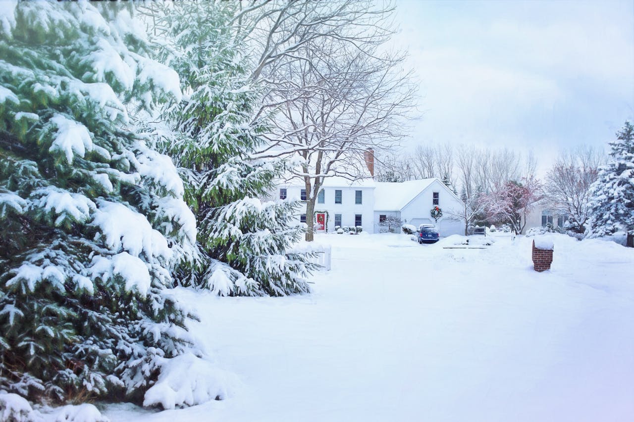 winter storm