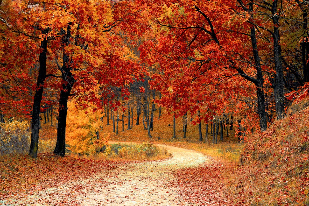 fall